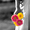 ♥ daisies for euu