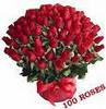 100 roses for gorgeous pet!