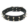 Rock Star Collar