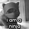 I am a Ninja!
