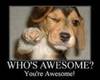 You're Awesome!