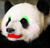 PANDA MAKEOVER