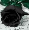 Black Rose (rare)
