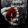 Sorry, I love you