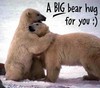 a big bear hug 4 u