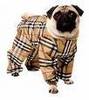 Burberry doggie coat