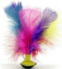 Deluxe  Feather Cat Toy