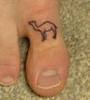 Camel Toe Status