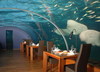 Trip to an Underwater Dining
