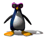 Sexy Penguin