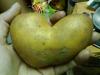heart-shaped potato