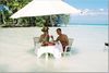 Romantic Beach Dinner for Two