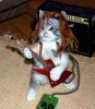 Rock Star Cat