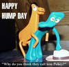 happy hump day 