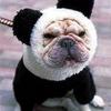 Pet Panda Costume