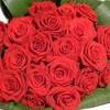 sweetheart roses