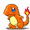 Your Very Own Charmander 