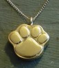 Golden paw necklace