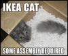 Ikea Cat!