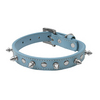 Blue Pet Collar