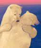 A big bear hug