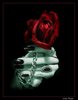 Vampires Blood Rose