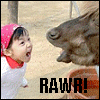 RAWR!