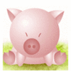Piggy pet