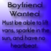 Boyfriend Wanted-Twilight