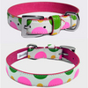 Polkadot Pet Collar