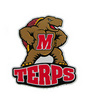 Testudo the Terp