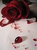 Bloody rose