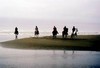 a horse back ride on the beach