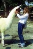 a kiss from a llama ;)