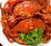 Singapore ORIGINAl chili crab