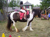 a pony to ride