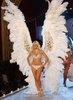 Victorias Secret beautiful wings