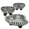 zebra bowls