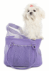 A Purple Doggy Bag