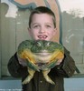 Pet Frog