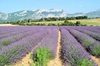 A trip in Provence, France