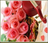 valentine's roses