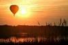 Safari by Balloon