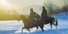 a Beautiful Snowy Horseback Ride