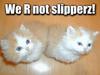 Need slippers?