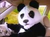 Kung Fu Panda chauffeur 