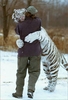 A Big Tiger Hug! 