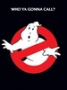 Who Ya Gonna Call?