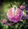 Fairy Rose bush