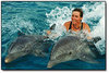 Swim with the dolphins /2 pets